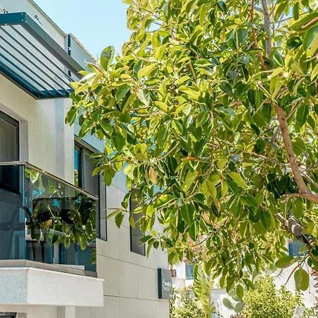 Cimentepe Deluxe 6 - In Yalikavak بودروم